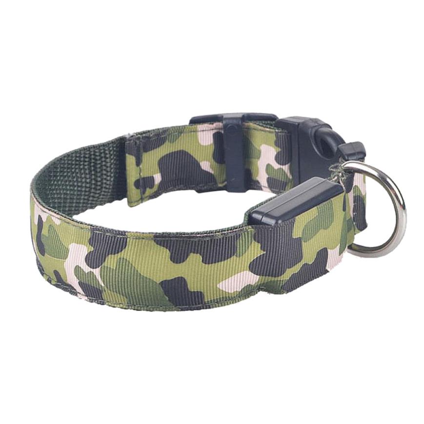 Safety Dog LED Collar