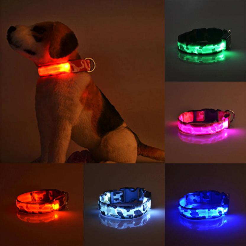 Safety Dog LED Collar