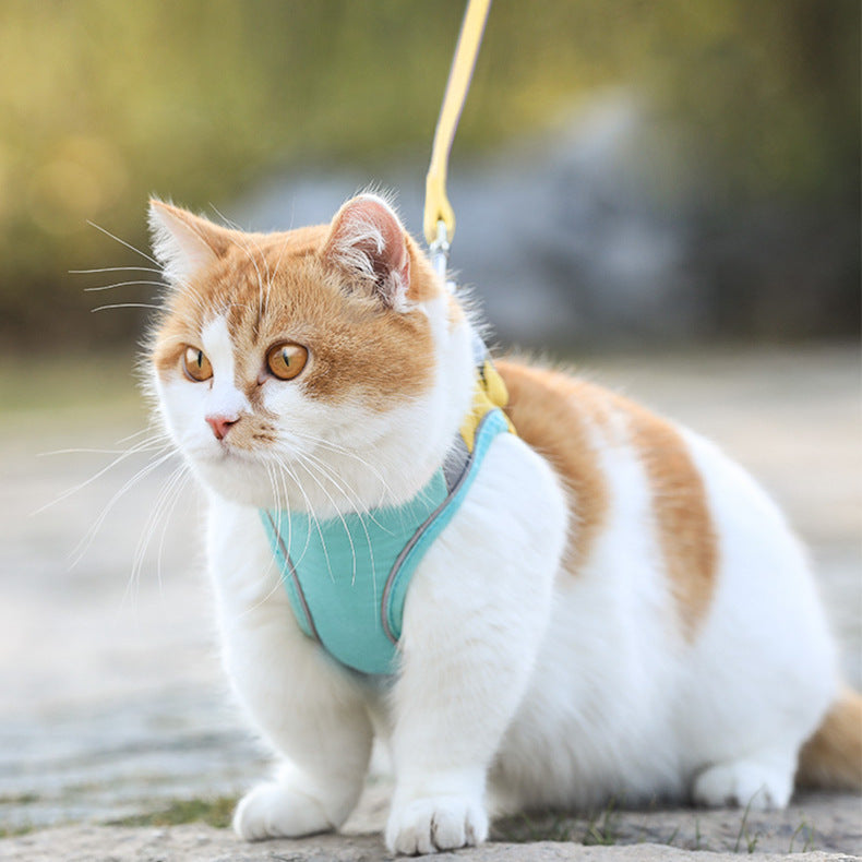 Cat Harness and Leash Set