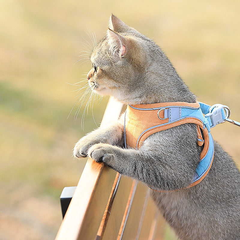 Cat Harness and Leash Set