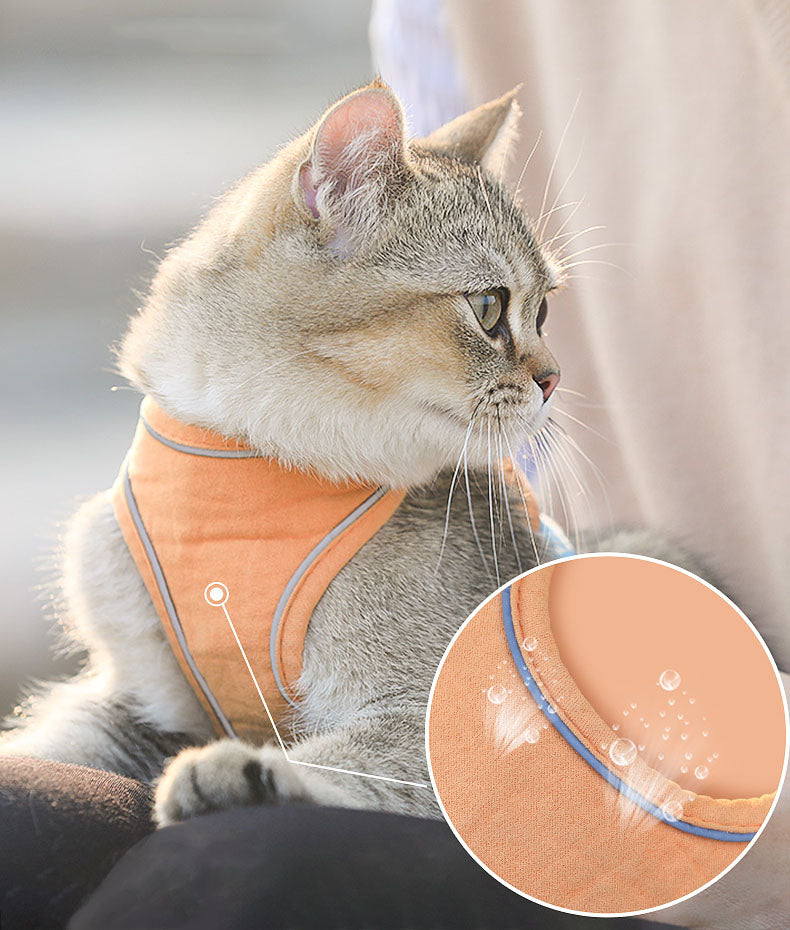 Cat Harness and Leash Set