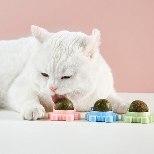 Catnip Ball Wall Edible Rotating