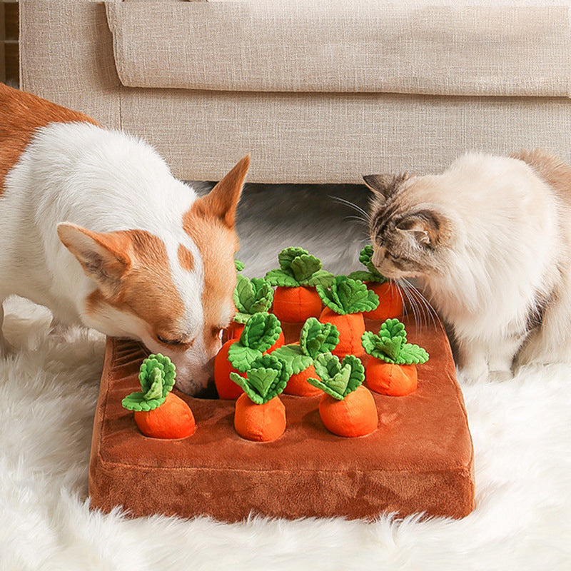 Pet Carrot Plush Toy