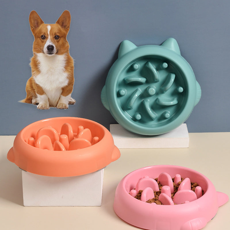 Slow Feeder Bone Design Pet Bowl