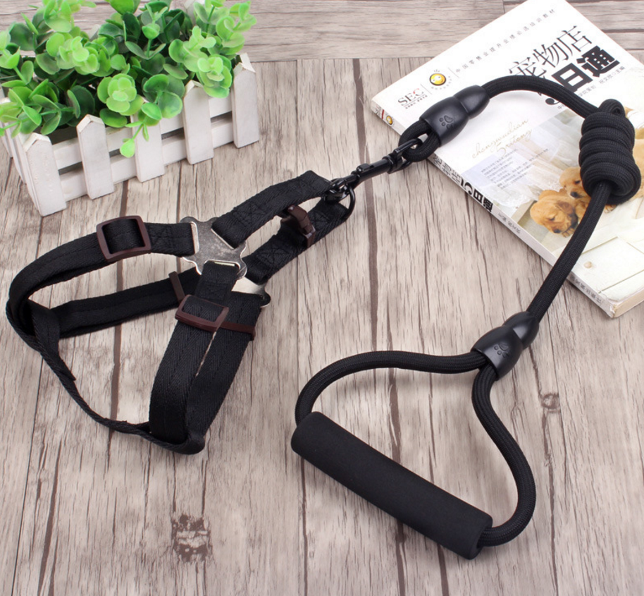 Pet Harness Rope