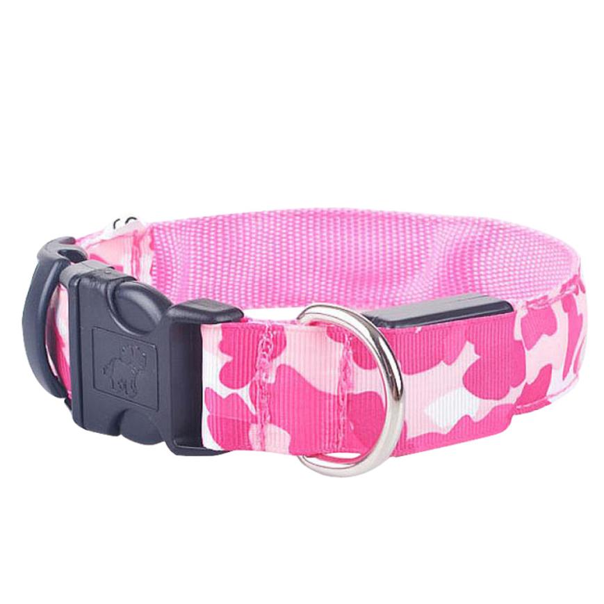 Safety Dog LED Collar