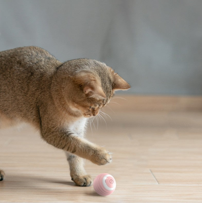 Smart Rolling Ball Teasing Toy