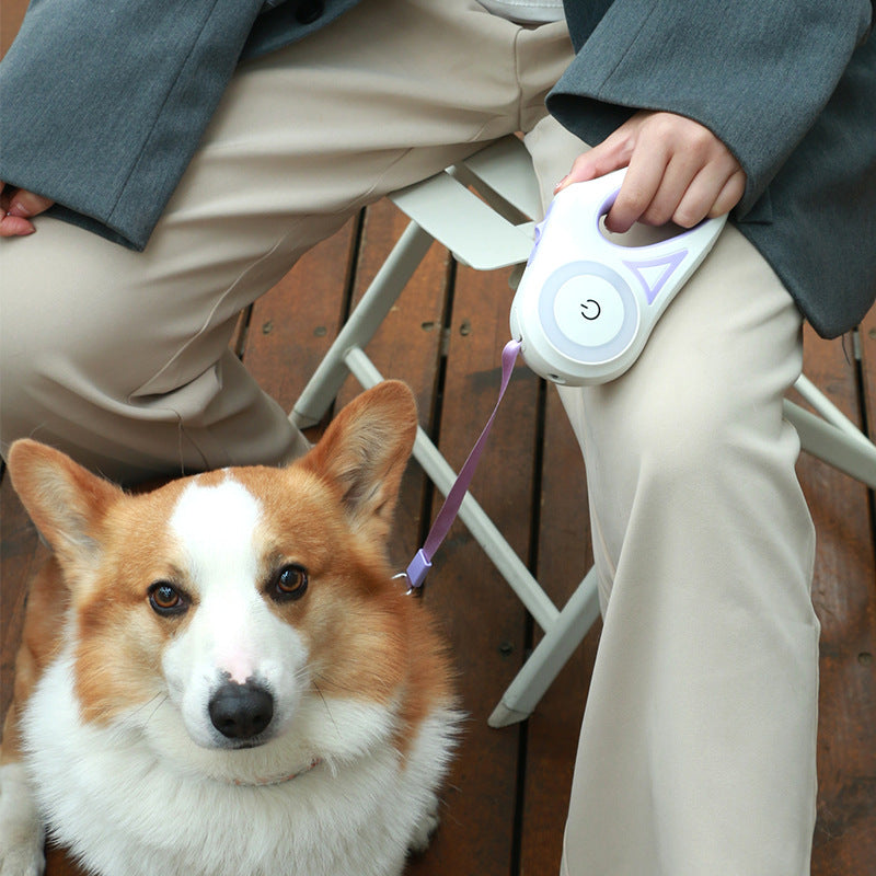 LED Flashlight Pet Leash.