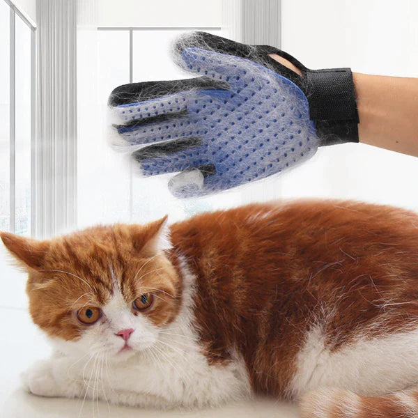 Cat Grooming Glove