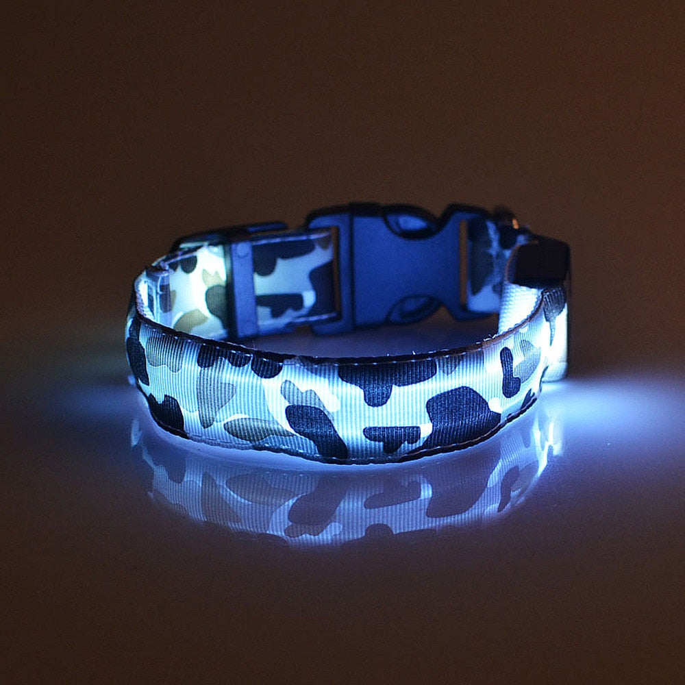 Safety Dog LED Collar