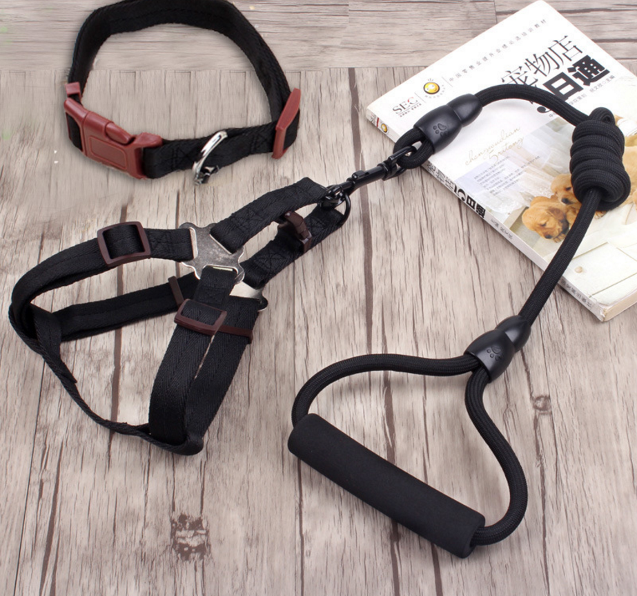 Pet Harness Rope