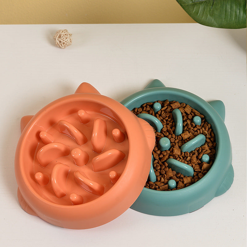 Slow Feeder Bone Design Pet Bowl