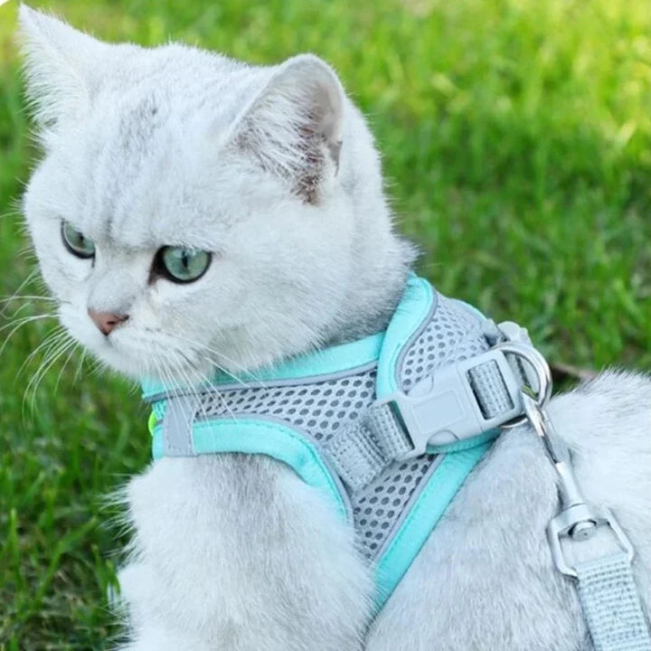 Cat Harness and Leash Set