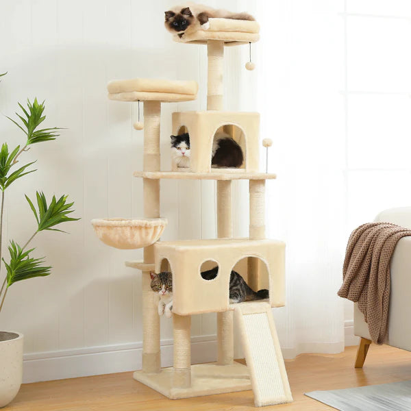 Cat Climber Cat House