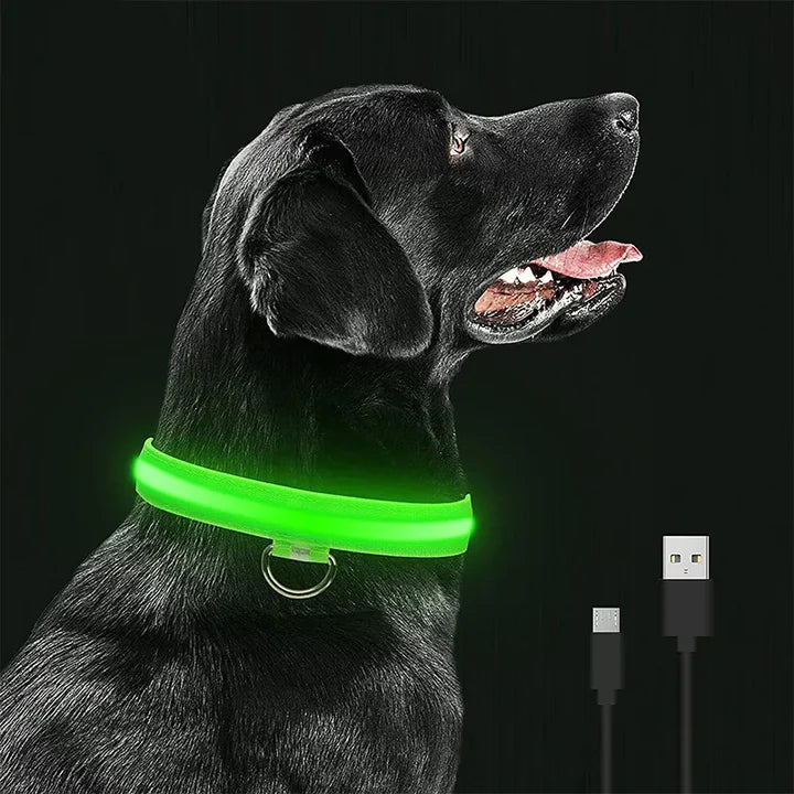 Safety Dog LED Collar