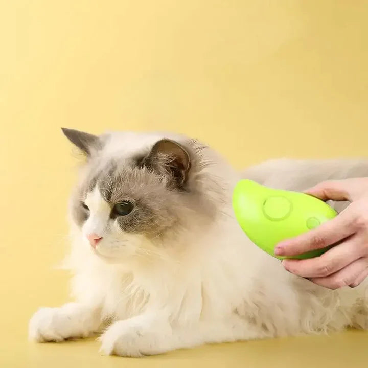 Pet Steam Hair Brush