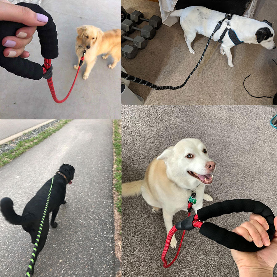 Strong Dog Leash