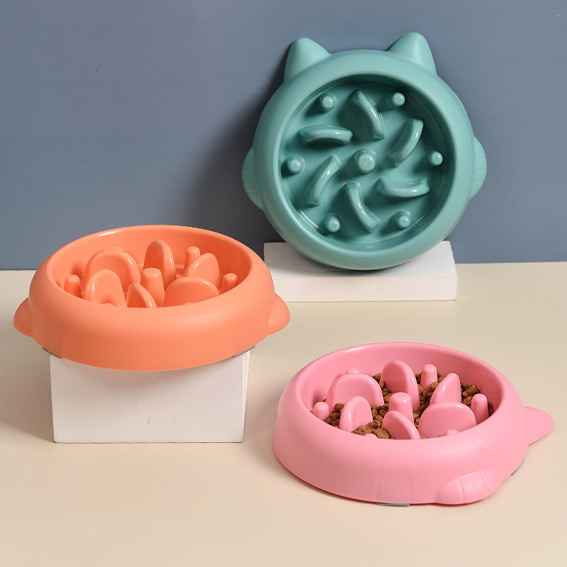 Slow Feeder Bone Design Pet Bowl